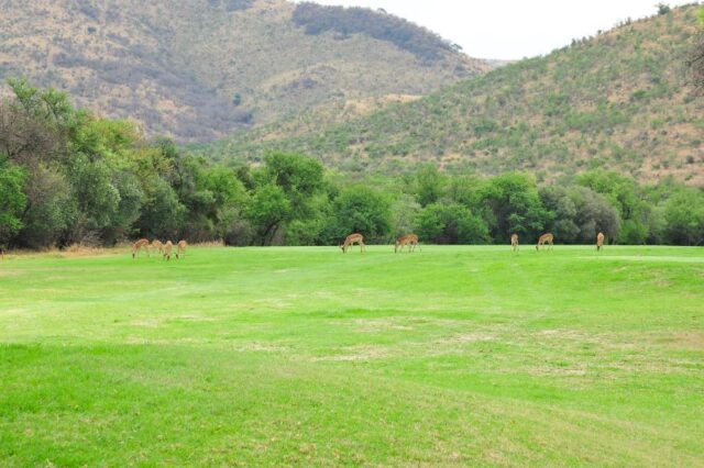 2025 Convention Golf Day (140)